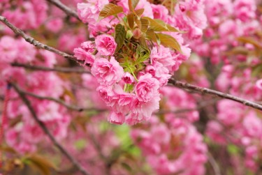 温州永嘉6线下个人借款平台一站式服务，轻松解决资金难题
