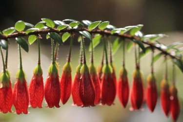 温州永嘉6零用贷短借：轻松解决临时资金需求