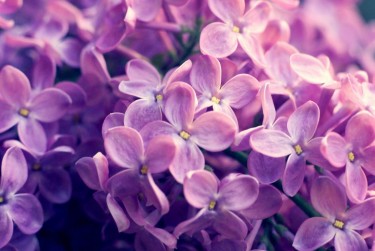 温州永嘉6企业急用钱贷款攻略：快速融资解燃眉之急